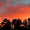Weekly Photo Project : This is part of the 52 week project where I will be taking and posting a picture a week.